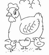 Chicken Coloring Pages  Free Printable For Kids sketch template