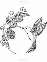Hummingbirds And Flower Coloring Pages Sketch Coloring Page sketch template