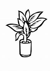 Printable Plant Coloring Pages sketch template