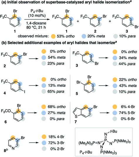 Base-catalyzed aryl halide isomerization enables the 4-selective ...