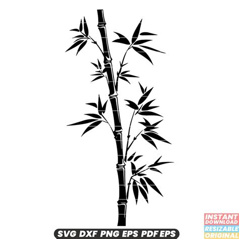 Bamboo Plant Grass Giant Panda Habitat Sustainable Renewable Material Asia SVG DXF PNG Cut File ...
