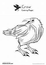 Crow Coloring Pages For Kids – Free Printables  Art & Craft sketch template