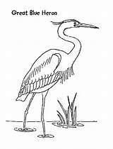Great Coloring Pages Of Animals  sketch template