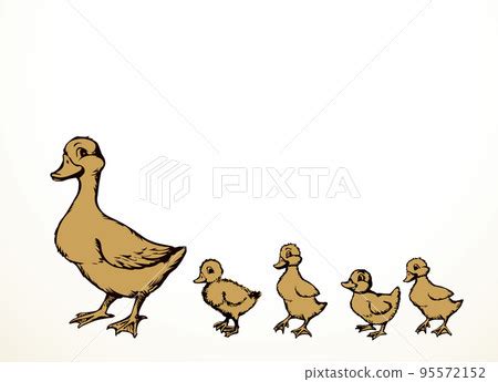 Mother duck with ducklings. Vector outline drawing - Stock Illustration ...