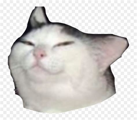 Emote Template