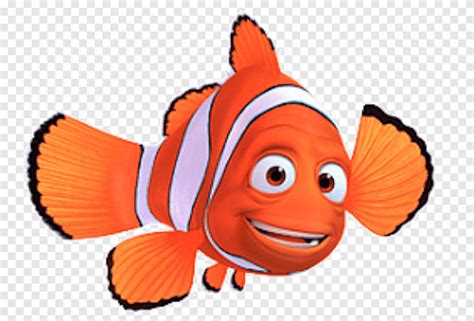 Marlin Alla ricerca di Nemo Pesce pagliaccio, stelle marine, animali, animazione png | PNGEgg