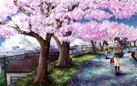 Sakura Anime Wallpapers - Top Free Sakura Anime Backgrounds - WallpaperAccess