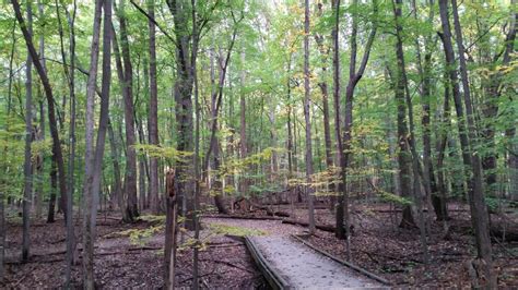 Carpenter Lake Nature Preserve | Michigan