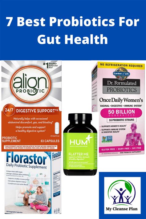 7 Best Probiotics For Gut Health And Why We Need Them