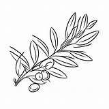 Olive Branch Doodle Coloring Sheet Outline Sketch Drawing Vector Wing  sketch template