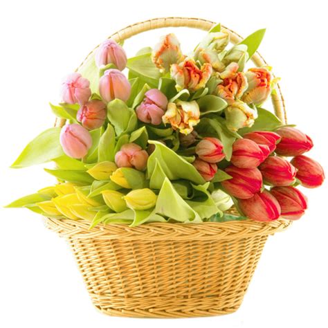 Bouquet flowers PNG