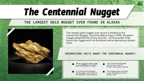 Discover The Largest Gold Nugget Ever Found in Alaska - A-Z Animals