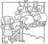 Pastore Pecore Pascolo Hirte Kolorowanka Sheep Schafherde Pecora  sketch template