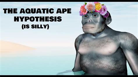 The Aquatic Ape Hypothesis (Is Silly) - YouTube