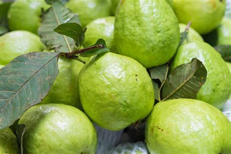 What Does Guava Taste Like? [Definitive Guide] - Medmunch