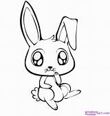 Cute Baby Animal Coloring Pages Dragoart  Coloring Home sketch template