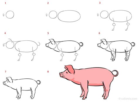 How To Draw A Pig Step By Step