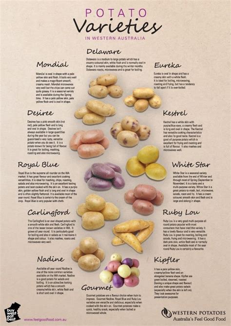 Pin by Rhonda on Cuisine: Infographies, Trucs et Astuces | Potato ...