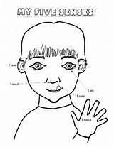 Senses Coloring Hand Pages Clipart Drawing Printable Touch Kids Washing  sketch template