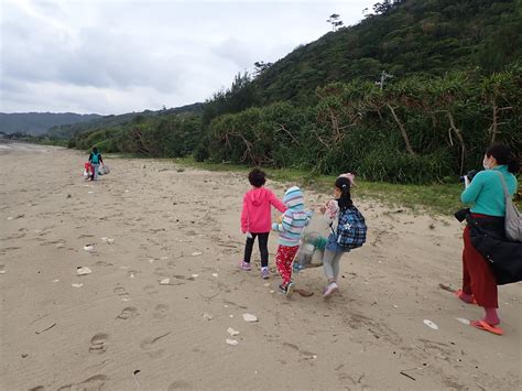 Beachcombing with a nature guide to think about the earth | Endemic ...