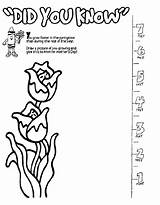 Growth Coloring Pages Coloring sketch template