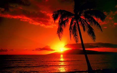 Tropical Paradise Wallpaper High Resolution - WallpaperSafari