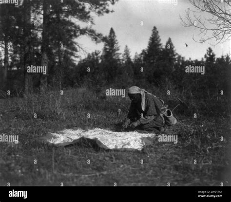 Forage on ground Black and White Stock Photos & Images - Alamy