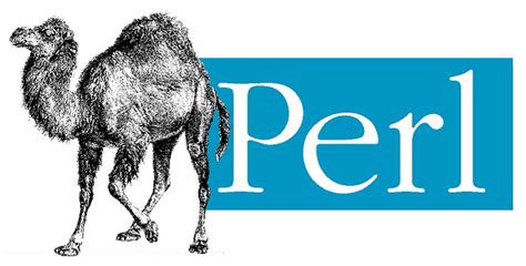 Actualización de seguridad del lenguaje Perl – Seguridad PY