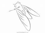 Cicada See Coloring Page For Kids  Free Cicadas Printable sketch template
