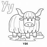 Premium Vector  Alphabet Animal yak For coloring With Word Hand Drawn sketch template