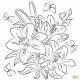 Consider The Lilies Coloring Page Pages sketch template
