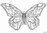 Unleash Your Inner Artist With Coloring Pages Of Butterflies For Adults sketch template