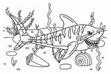 Tiger Shark Ferocious Coloring Page  Free Printable Pages sketch template