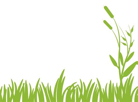 Green Grass Clipart Free Stock Photo - Public Domain Pictures