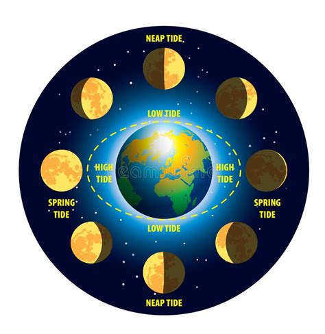 How the Moon Phases and Tides Affect the Oceans » star-planete.net