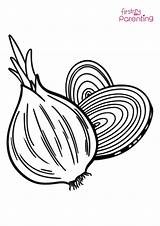Onion Coloring Pages sketch template