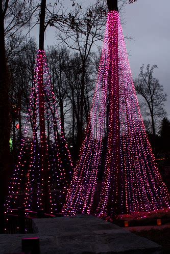 Atlanta Botanical Garden Lights 0001 | The Canopy Walk at Tw… | Flickr