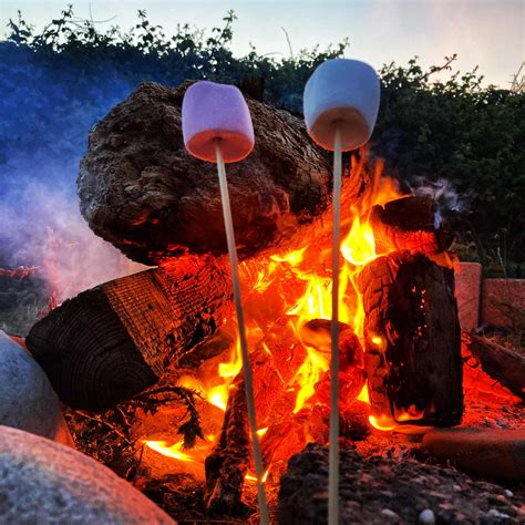 Roasting some marshmallows. iPhone se2 camera! +Lo-fi filter : r/iPhoneSE