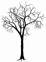Dry Tree Drawing At GetDrawings  Free Download sketch template