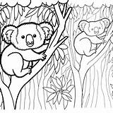 Koala Coloring Pages  Coloring Gem sketch template