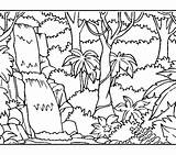 Printable Rainforest Coloring Pages sketch template