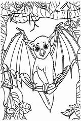 Color Page Bat  Free Printable Coloring Pages sketch template