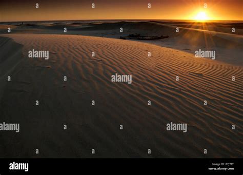 Sand Dunes at sunset, Oregon Dunes National Recreation Area Stock Photo ...