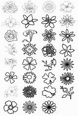 Coloring Pages Of Small Flowers sketch template