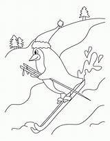 Penguin Skiing Coloring Page  Download Free sketch template