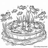 Pond Habitat Coloring Pages sketch template
