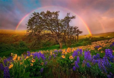 rainbow | Beautiful nature, Landscape, Landscape photography