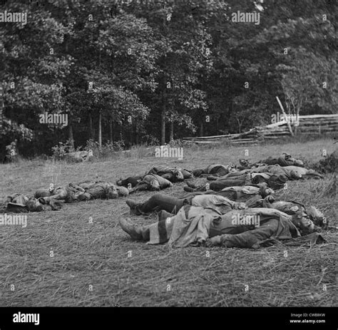 The Civil War. The Battle of Gettysburg. Confederate dead gathered for ...