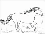 Horse Cute 4 Coloring Page  Free Printable Pages sketch template