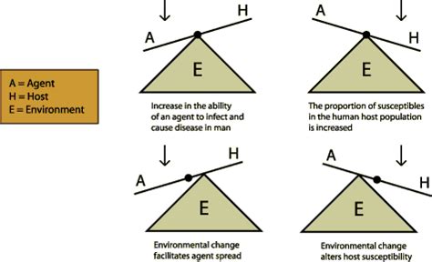 Components of Epidemiology Triangle - engelonMcintyre